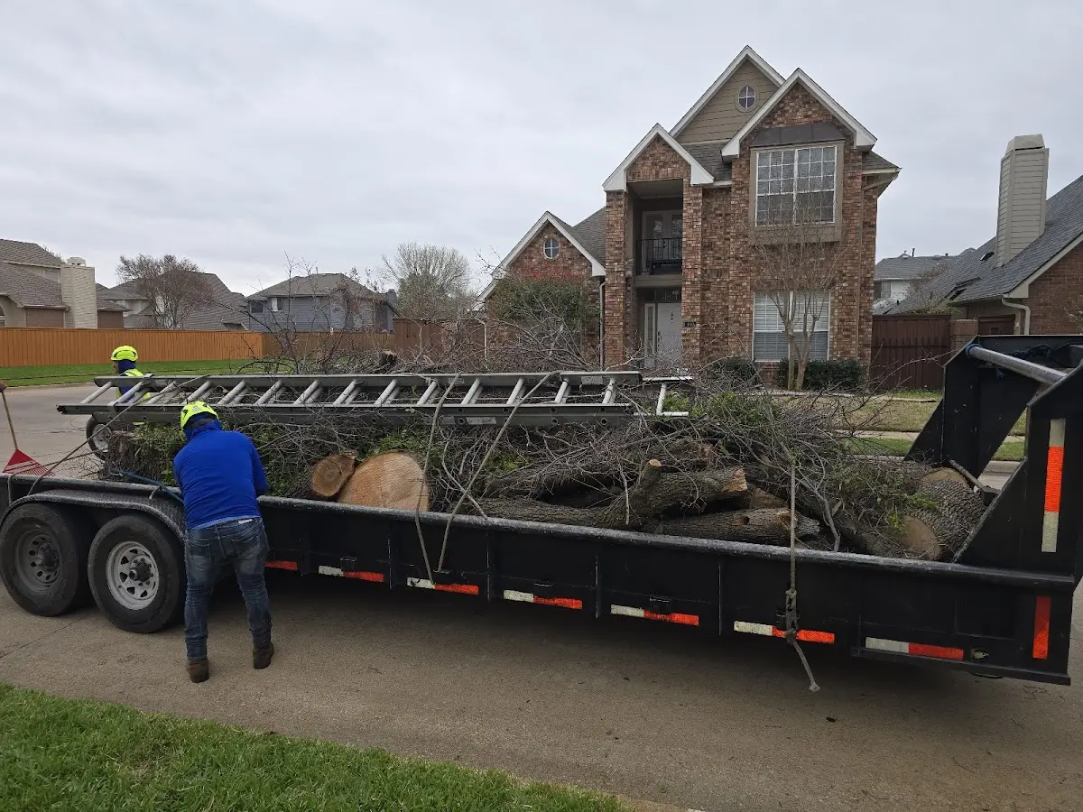 Expert Tree Pest Control with proper safety equipment in Forest
